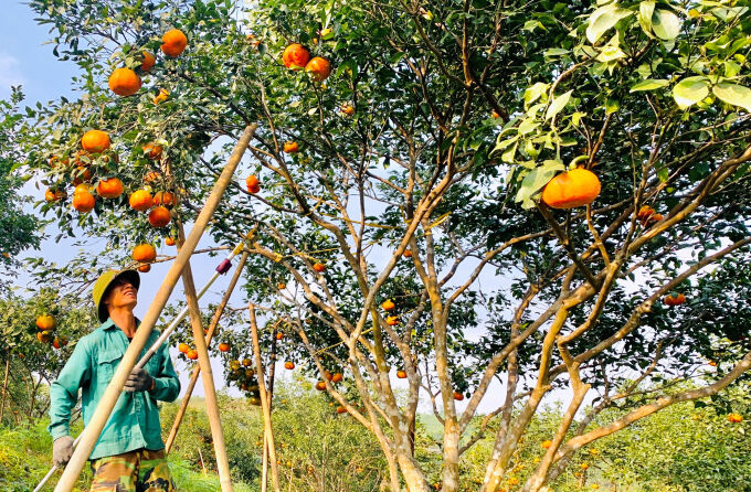 Experience Ha Tinh Tours with sustainable adventures